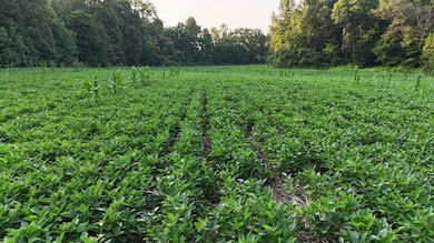 0 Ready Rd unit LotWP002 24349623, Caneyville, KY 42721 - photo 3