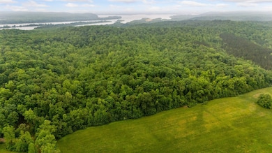 230 Roberts Creek Rd, Waverly, TN 37185 - photo 4