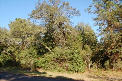 8815 N Tempest Dr, Citrus Springs, FL 34433 - photo 3