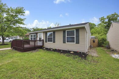 6-web-or-mls-G02A1461