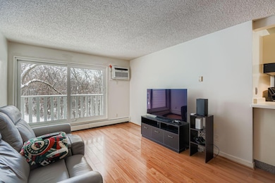 Black Forest Condominiums unit 250, Fridley, MN 55432 - photo 2