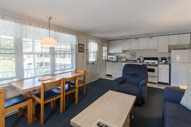 15 Mill St unit 35, Edgartown, MA 02539 - photo 4