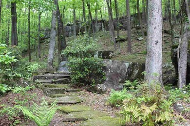 424 Trout Haven Dr, Heber Springs, AR 72543 - photo 7