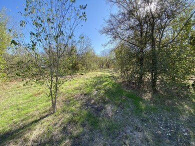 View of local wilderness