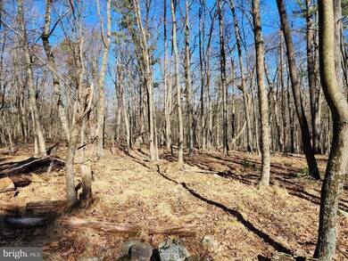 LOTS 8 & 9 Howard Delawder Ln, Mathias, WV 26812 - photo 6