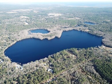 11 Frank Jones Rd, Crawfordville, FL 32327 - photo 3