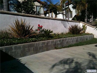 Low maintenance back yard.