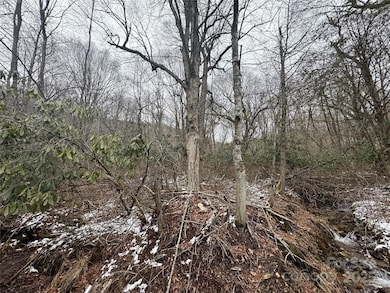 640 Hemlock Ln, Mars Hill, NC 28754 - photo 6