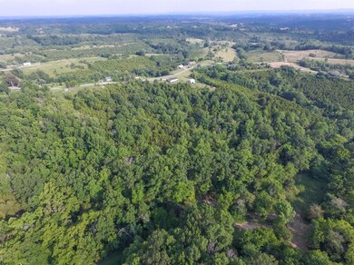 802 Old Dixville Rd, Harrodsburg, KY 40330 - photo 3