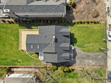 331 N Shady Ln, Elmhurst, IL 60126 - photo 3