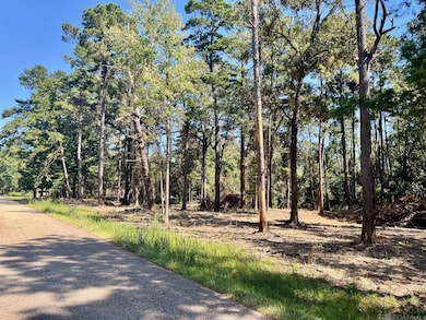 15912 Chaumont Ave, Central, LA 70739 - photo 2