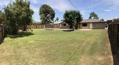 Backyard 4