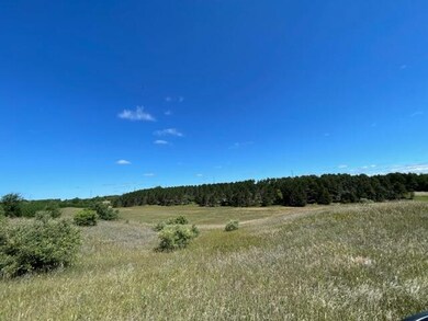 37 +/- Acres 2 Mile Rd Rd, Reed City, MI 49677 - photo 5