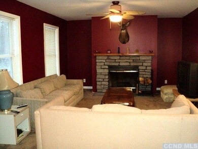 Wood burning fireplace in the living room