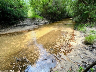 0 St Hwy 59 unit 348142, Stockton, AL 36579 - photo 4