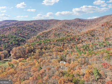 105 Thurmond Walker Rd, Dahlonega, GA 30533 - photo 2