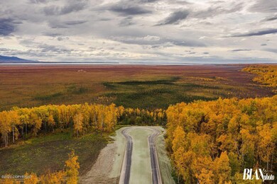 B3 L7 W Chigmit Cir, Wasilla, AK 99654 - photo 7