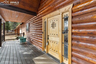 111 Blue Spruce Rd, Divide, CO 80814 - photo 2