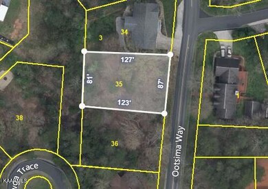 Aerial Photo with Lot Dimensions