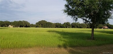 0 Sutton Oaks Ln unit 780622, Zephyrhills, FL 33541 - photo 5