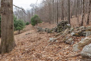 Woods & Stonewalls