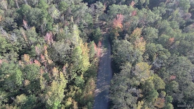 75 Highway 82 Hwy, Booth, AL 36064 - photo 5