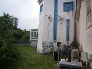 back (2)
