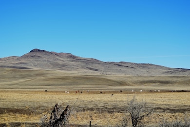 1080 Rock Creek Rd, Weiser, ID 83672 - photo 6