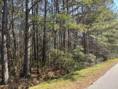 Causey Pond Photo