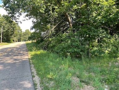 V/L 56th St, Paw Paw, MI 49079 - photo 7