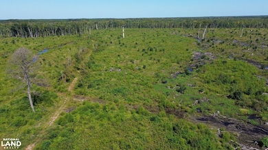 Tbd Highway 63, Ruffin, SC 29475 - photo 6