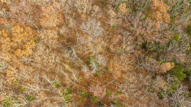 0 County Road 5320 (Tract C), Rolla, MO 65401 - photo 3