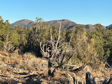 5 Broken Arrow Place, Sandia Park, NM 87047 - photo 6