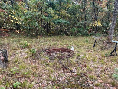 v/l S Broadway St, Baldwin, MI 49304 - photo 6