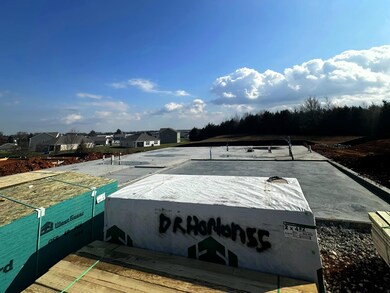 4027 Picket Line Dr, Jefferson City, TN 37760 - photo 2