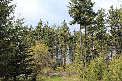 15 Romain Dr, Bigfork, MT 59911 - photo 5