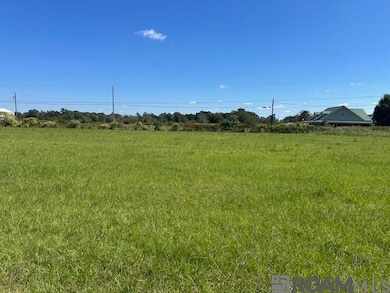 01 Old Highway 51, Amite, LA 70422 - photo 6