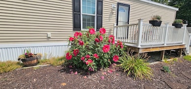 8 Barksdale Ave, Londonderry, NH 03053 - photo 4