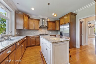 582 S Rex Blvd, Elmhurst, IL 60126 - photo 6
