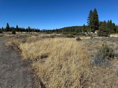 0 Main Ave unit 2500 220190927, Spragueriver, OR 97639 - photo 6