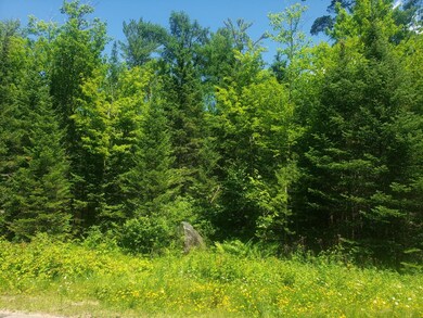 Lot 3 Sanctuary Rd, Tomahawk, WI 54487 - photo 6