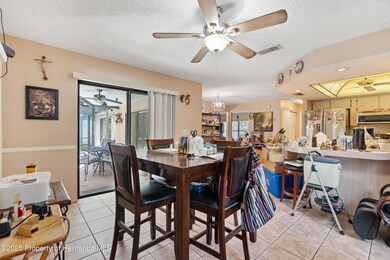 4482 Plumosa St, Spring Hill, FL 34607 - photo 6