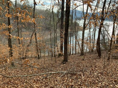Peaceful lot