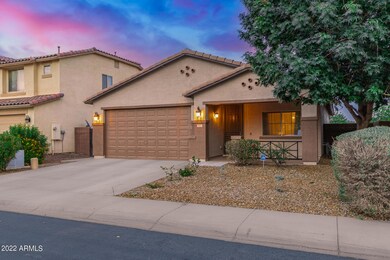 973 W Empress Tree Ave, San Tan Valley, AZ 85140 - photo 3