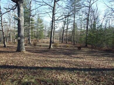 2653 front yard