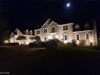 4466 Forest Brooke Ct N, Richfield, OH 44286 - photo 4