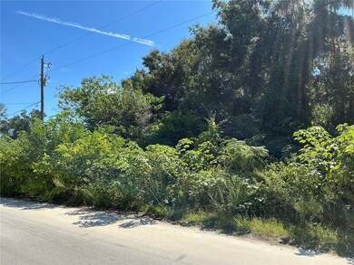 0 SE 134th Place unit MFROM714274, Belleview, FL 34420 - photo 2