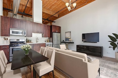 Blue Moon Lofts unit 607B, Chicago, IL 60607 - photo 4