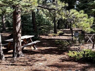 53 Pine Eagle Ct, Westcliffe, CO 81252 - photo 2