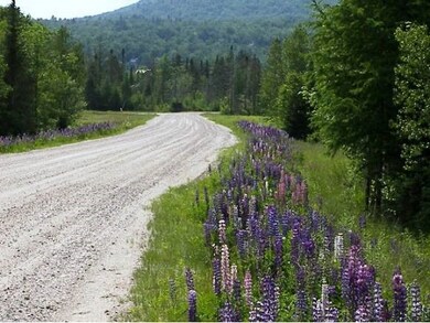 00 McKenzie Woods unit Lot 10, Franconia, NH 03580 - photo 7